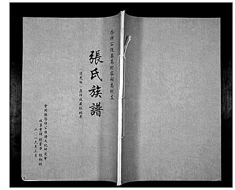 [下载][张氏族谱_启祥公后裔 高村家祠高村支]湖南.张氏家谱.pdf