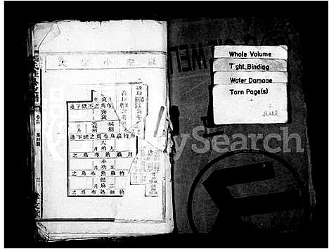 [下载][张氏桂公支谱_17卷首末各1卷]湖南.张氏桂公支谱_二.pdf