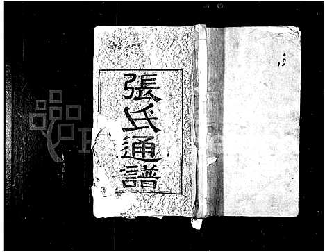 [下载][张氏通谱_8卷]湖南.张氏通谱.pdf