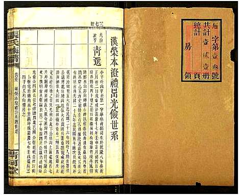 [下载][张氏通谱_121册含13卷及卷附卷尾_世系谱甲乙编卷_版心题_张氏族谱]湖南.张氏通谱_三十.pdf