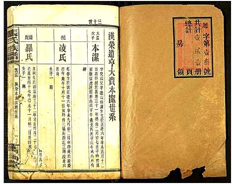 [下载][张氏通谱_121册含13卷及卷附卷尾_世系谱甲乙编卷_版心题_张氏族谱]湖南.张氏通谱_三十一.pdf