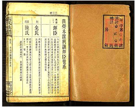 [下载][张氏通谱_121册含13卷及卷附卷尾_世系谱甲乙编卷_版心题_张氏族谱]湖南.张氏通谱_三十三.pdf