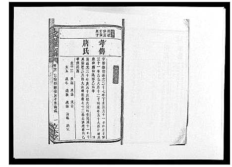 [下载][朱氏四修宗谱_38卷首5卷首另8卷]湖南.朱氏四修家谱_二十九.pdf