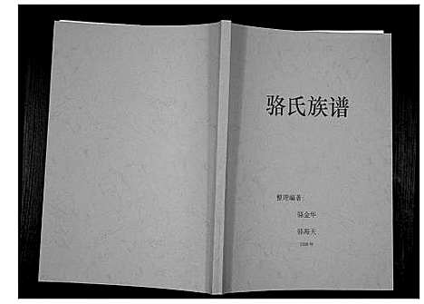 [下载][骆氏族谱_不分卷]广东.骆氏家谱.pdf