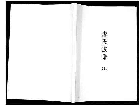 [下载][唐氏族谱]广东.唐氏家谱_一.pdf