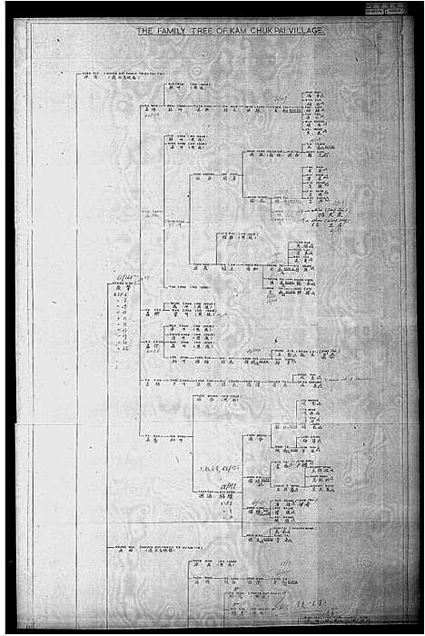 [下载][金竹排村王斯福家族谱]广东.金竹排村王斯福家家谱.pdf