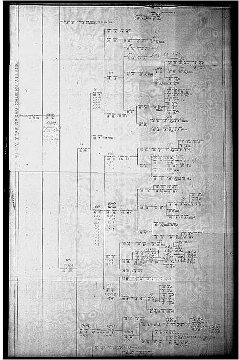 [下载][金竹排村王斯福家族谱]广东.金竹排村王斯福家家谱.pdf