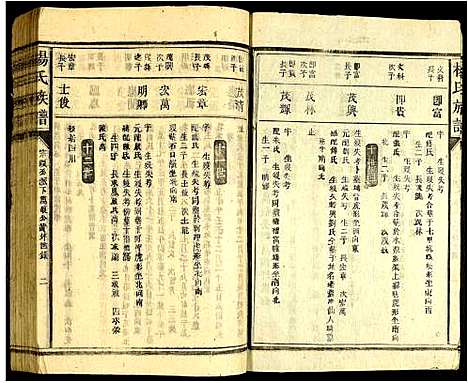 [下载][杨氏宗谱]广东.杨氏家谱_二.pdf