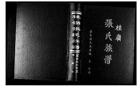 [下载][桂岭张氏族谱]广东.桂岭张氏家谱.pdf