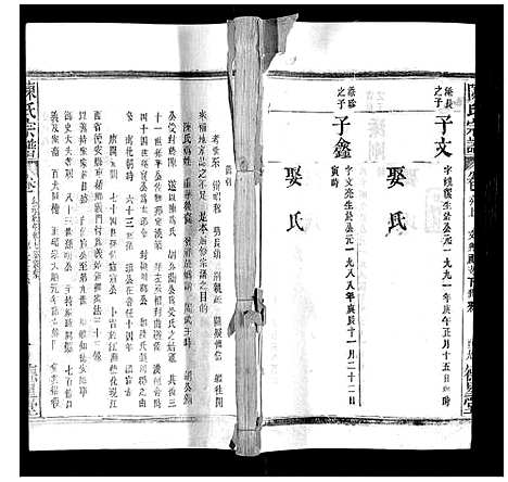 [下载][陈氏宗谱]广西.陈氏家谱_十五.pdf