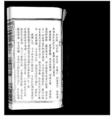 [下载][陈氏宗谱]广西.陈氏家谱_十五.pdf