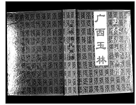 [下载][玉林张氏族谱]广西.玉林张氏家谱.pdf