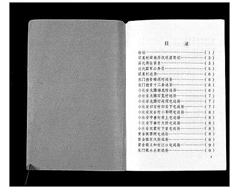 [下载][梁莫村梁家姓族史_不分卷]广西.梁莫村梁家姓家史_一.pdf