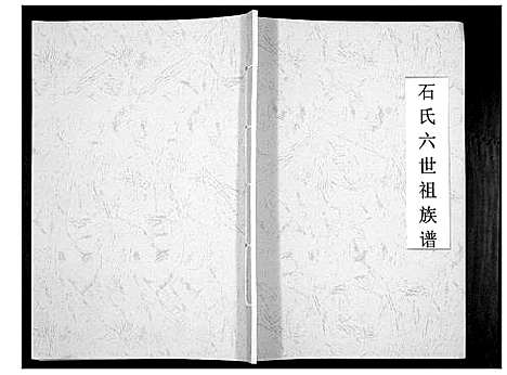 [下载][石氏六世祖族谱_不分卷]广西.石氏六世祖家谱_一.pdf