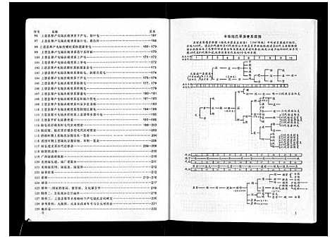 [下载][广西省上思陆氏宗谱]广西.广西省上思陆氏家谱_一.pdf