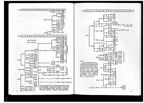 [下载][广西省上思陆氏宗谱]广西.广西省上思陆氏家谱_一.pdf