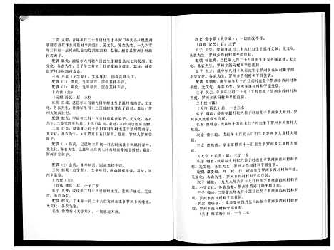 [下载][费氏恩用派支谱_2册]贵州.费氏恩用派支谱_二.pdf