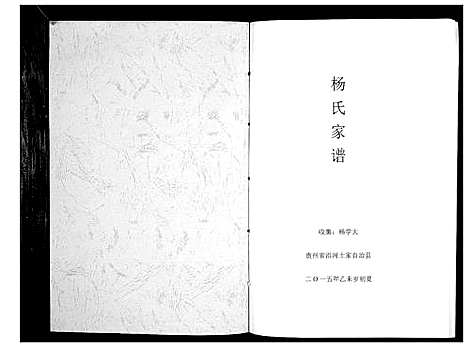 [下载][杨氏家谱_不分卷]贵州.杨氏家谱.pdf