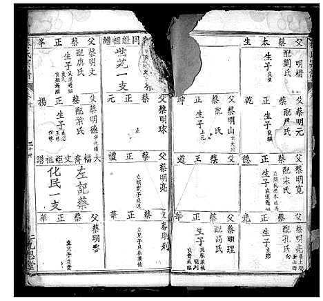 [下载][蔡氏宗谱]湖北.蔡氏家谱_十一.pdf