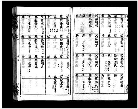 [下载][蔡氏宗谱_15卷_蔡氏宗谱]湖北.蔡氏家谱_十三.pdf