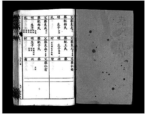 [下载][蔡氏宗谱_15卷_蔡氏宗谱]湖北.蔡氏家谱_十六.pdf