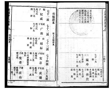 [下载][武城曾氏续修族谱]湖北.武城曾氏续修家谱_十三.pdf