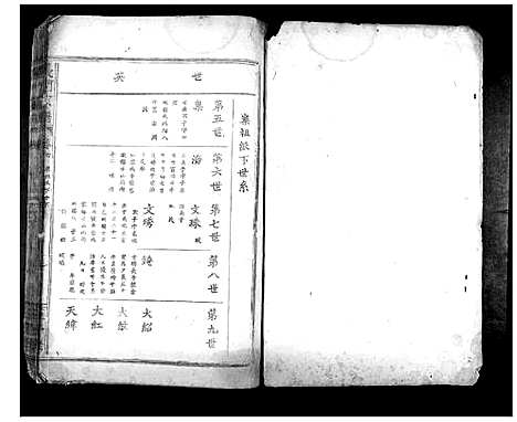 [下载][义门陈氏宗谱_10卷首1卷]湖北.义门陈氏家谱_三.pdf