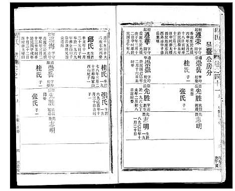 [下载][程氏宗谱]湖北.程氏家谱_四十二.pdf