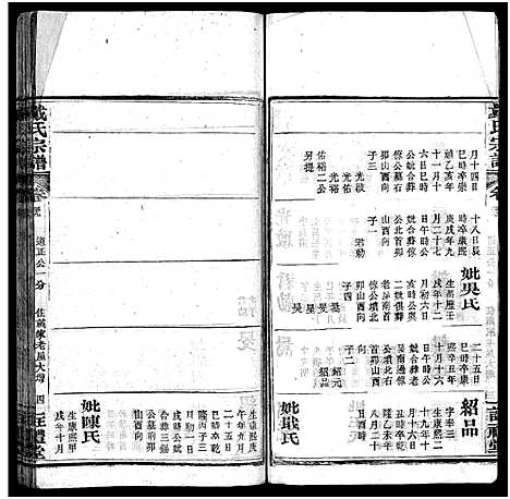 [下载][七修戴氏宗谱_54卷首末各1卷_戴氏宗谱]湖北.七修戴氏家谱_三十八.pdf