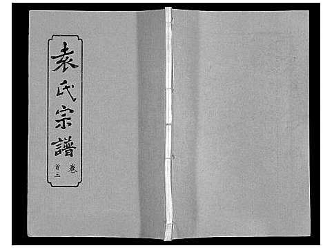 [下载][袁氏宗谱_24卷首4卷首1卷]湖北.袁氏家谱_三.pdf