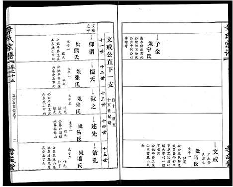 [下载][章氏宗谱_15卷首2卷]湖北.章氏家谱_九.pdf