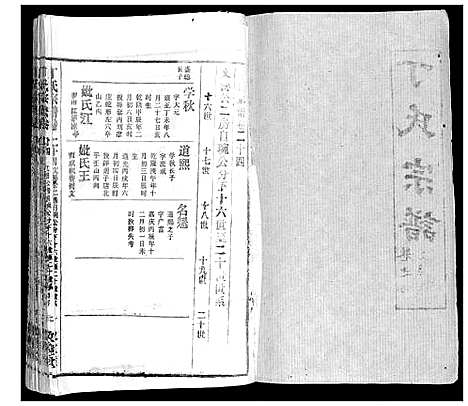 [下载][丁氏宗谱]湖北.丁氏家谱_十三.pdf