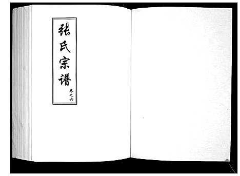 [下载][张氏宗谱]湖北.张氏家谱_五.pdf