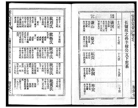 [下载][张氏宗谱]湖北.张氏家谱_二十.pdf