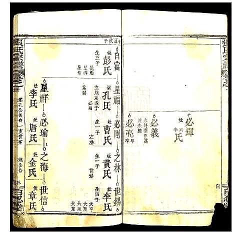 [下载][张氏宗谱]湖北.张氏家谱_十一.pdf