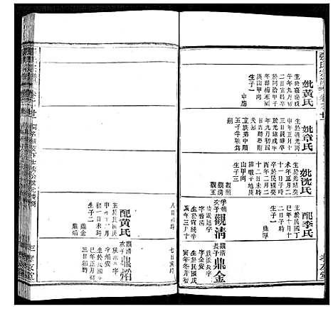 [下载][张氏宗谱]湖北.张氏家谱_二十.pdf