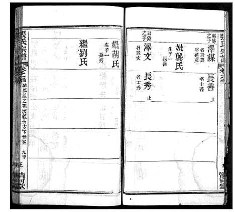 [下载][张氏宗谱]湖北.张氏家谱_十二.pdf