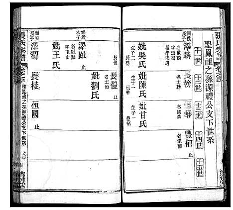 [下载][张氏宗谱]湖北.张氏家谱_十二.pdf