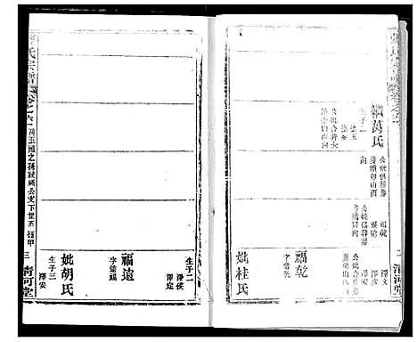 [下载][张氏宗谱]湖北.张氏家谱_四十六.pdf