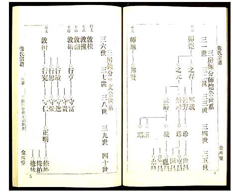 [下载][张氏宗谱]湖北.张氏家谱_八.pdf