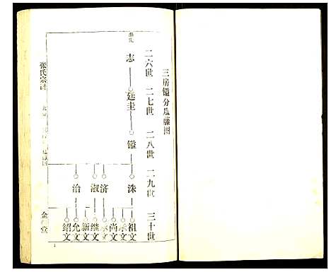 [下载][张氏宗谱]湖北.张氏家谱_九.pdf