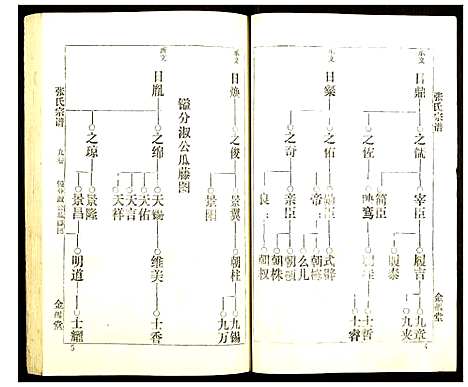 [下载][张氏宗谱]湖北.张氏家谱_九.pdf