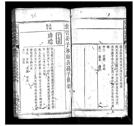 [下载][张氏宗谱]湖北.张氏家谱_九.pdf