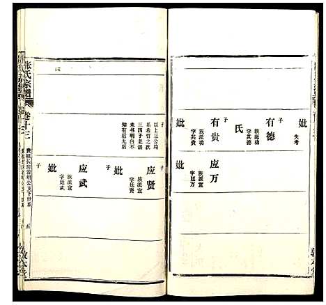 [下载][张氏宗谱]湖北.张氏家谱_十三.pdf