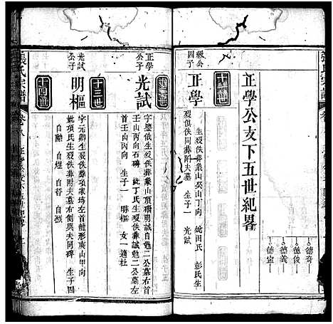 [下载][张氏宗谱_10卷首3卷_张氏宗谱]湖北.张氏家谱_十一.pdf