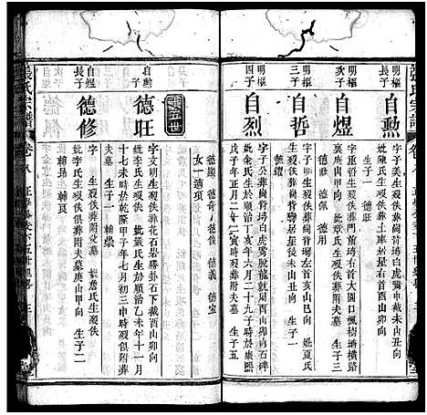 [下载][张氏宗谱_10卷首3卷_张氏宗谱]湖北.张氏家谱_十一.pdf