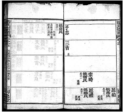 [下载][张氏宗谱_13卷首4卷_黄冈张氏纂修宗谱_黄冈张氏宗谱_张氏宗谱]湖北.张氏家谱_八.pdf