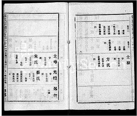 [下载][张氏宗谱_26卷首2卷]湖北.张氏家谱_二十二.pdf