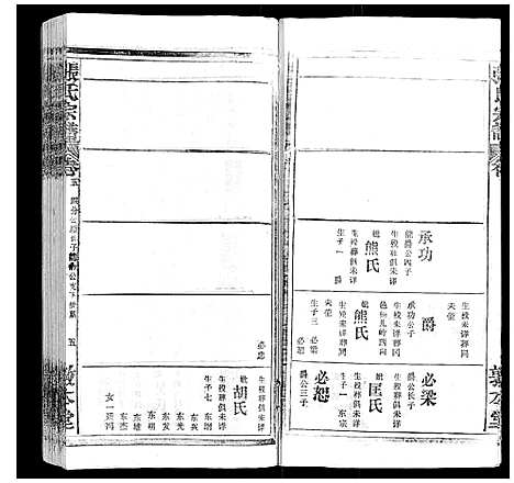 [下载][张氏宗谱_20卷首5卷]湖北.张氏家谱_八.pdf