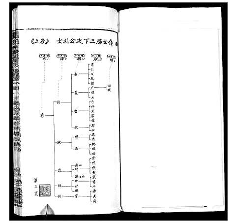 [下载][张氏宗谱_35卷首1卷]湖北.张氏家谱_十二.pdf